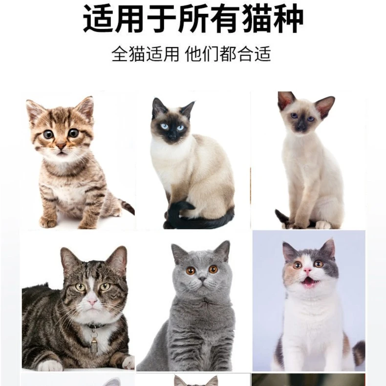甜闪【浮力款爱心猫粮】全价通用猫粮1斤装3斤5斤10斤