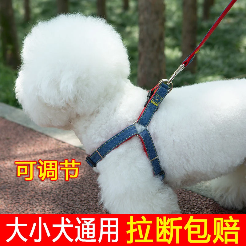 宠物用品狗狗牵引绳大型中型小型犬狗链子狗项圈泰迪金毛遛狗绳子