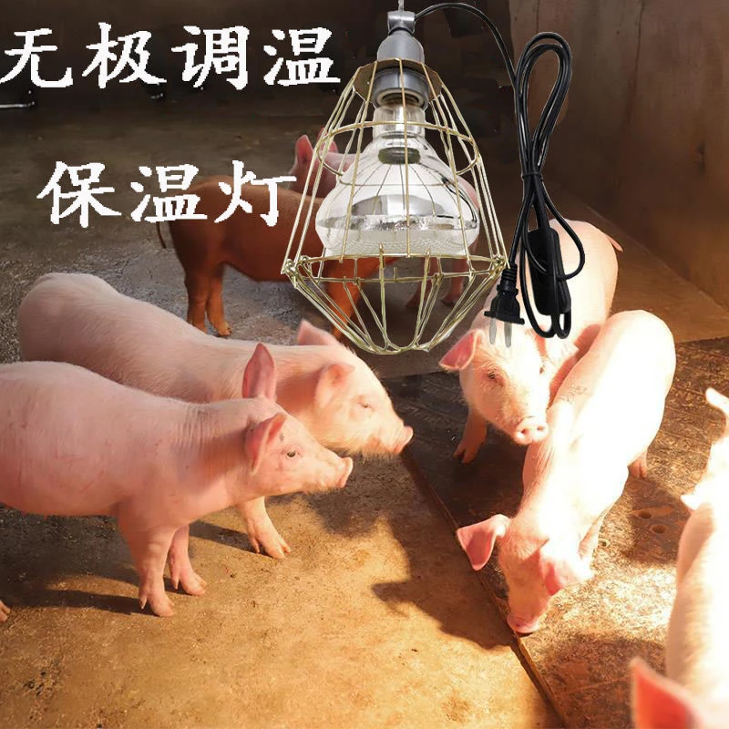 养殖保温灯调温保温灯仔猪小鸡宠物家禽保暖加热取暖E27灯头灯泡