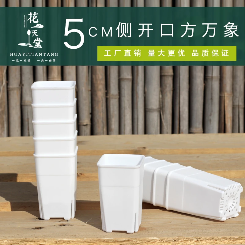 新品特厚特小5cm侧开口控根高方万象盆玉露景天多肉播种育苗花盆