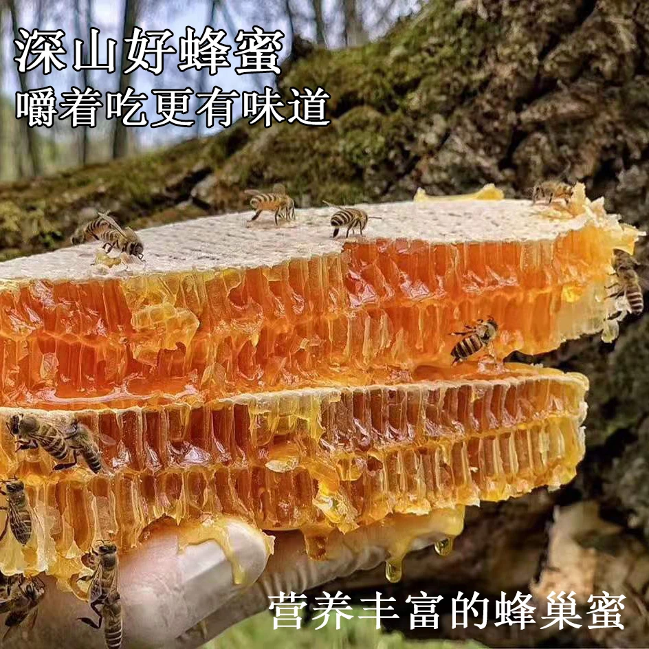 陈兹方家农家深山纯正自产成熟百花蜜原生态土蜂蜜液态蜜1斤装