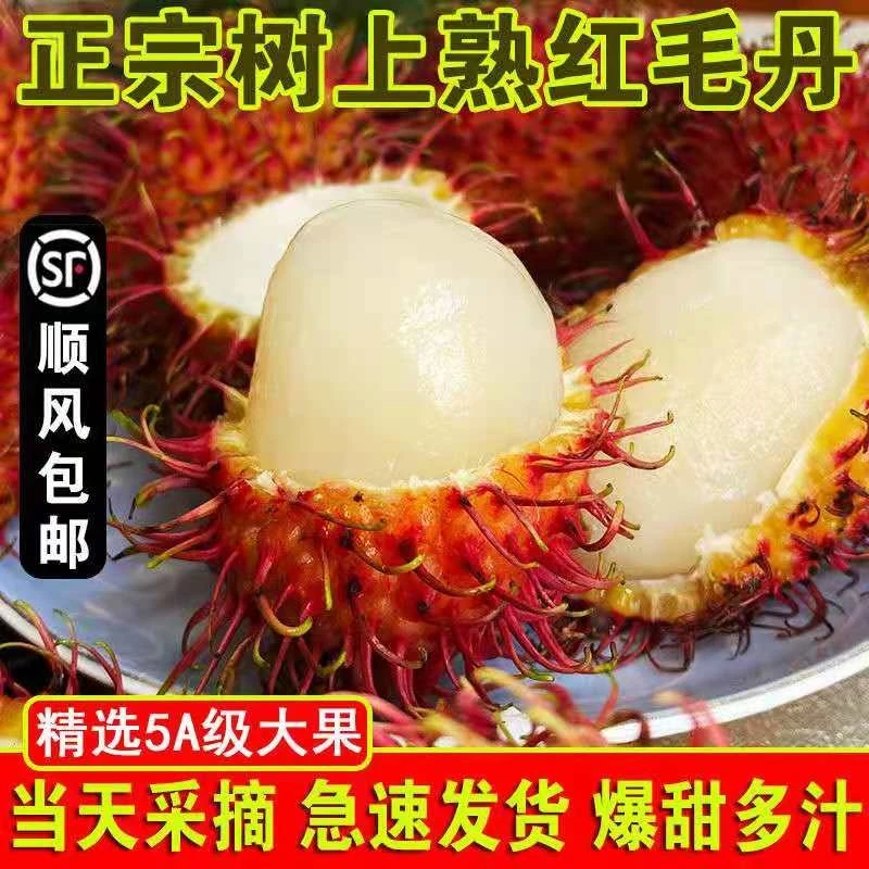 【顺丰空运】海南保亭7号红毛丹 新鲜采摘礼盒5斤8.5斤当季热带水果