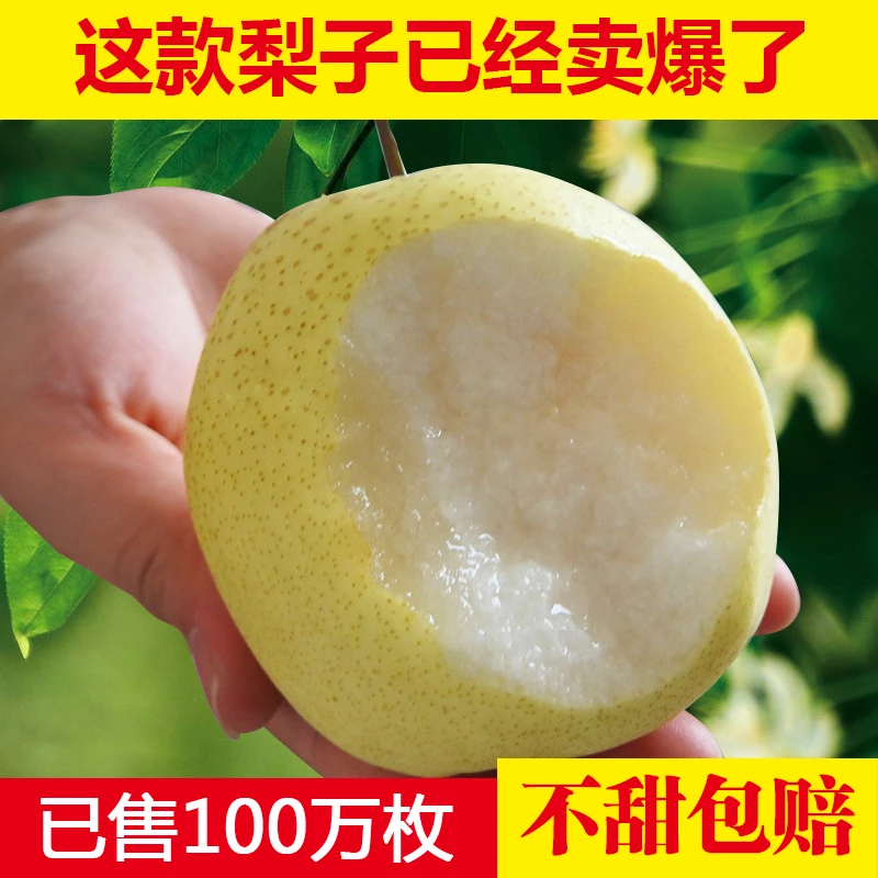 晋味来新鲜脆甜多汁山西隰县酥梨子净重5/9斤正宗母梨鸭梨整箱