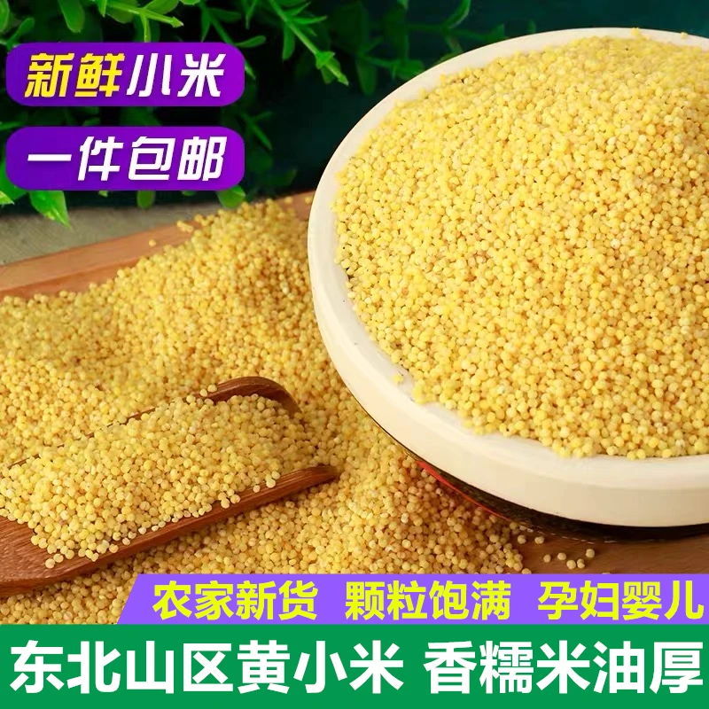 【牛二条】东北新小米杂粮五谷小米粥东北香糯粘稠月子小米