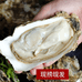 硕彤海鲜