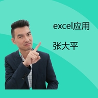 张大平Excel应用