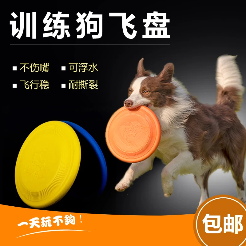 DISC DOG/飞盘狗发泡飞盘柔软耐咬不伤牙飞行好边牧拉布拉多金毛
