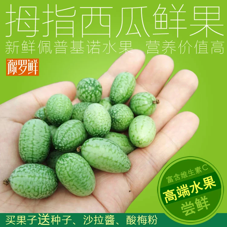 信阳现摘拇指西瓜水果新鲜佩普基诺新奇迷你袖珍小西瓜125/250g