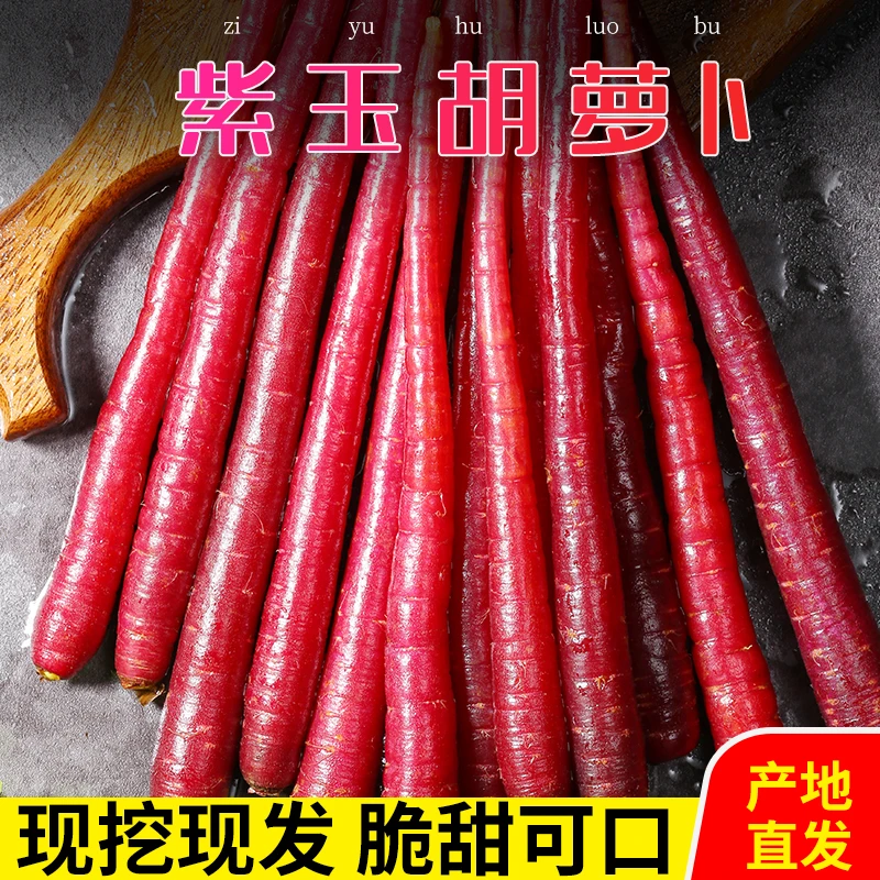 云南大理特产新鲜紫色紫玉胡萝卜即食水果萝卜脆甜爽含花青素