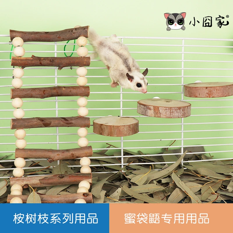 小囧家蜜袋鼯桉树枝垫料用品磨牙零食桉树蜜花粉跳台小蜜玩具吊桥