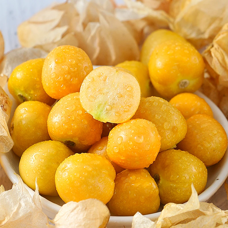 红黄甜菇娘果种子灯笼果阳台盆栽水果水果甜姑娘种子简单春季