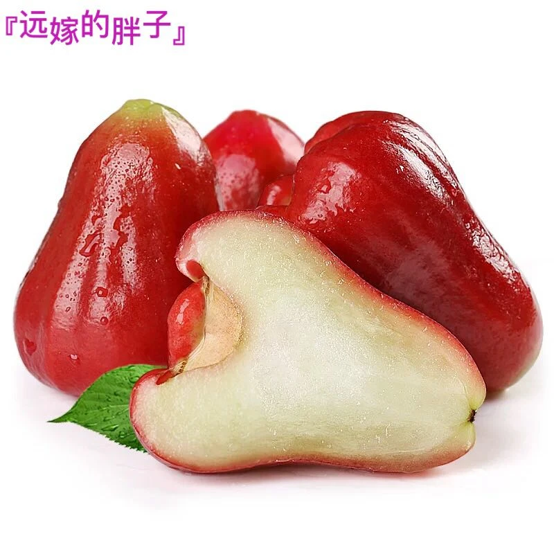 海南黑金刚莲雾新鲜多汁脆甜可口，顺丰包邮五斤净果现摘先发