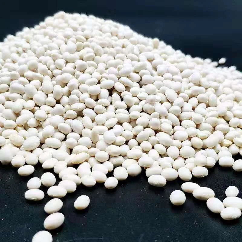 贵州小白豆小白芸豆雪豆云豆菜豆新货饭豆珍珠豆扁豆红豆贵州特产