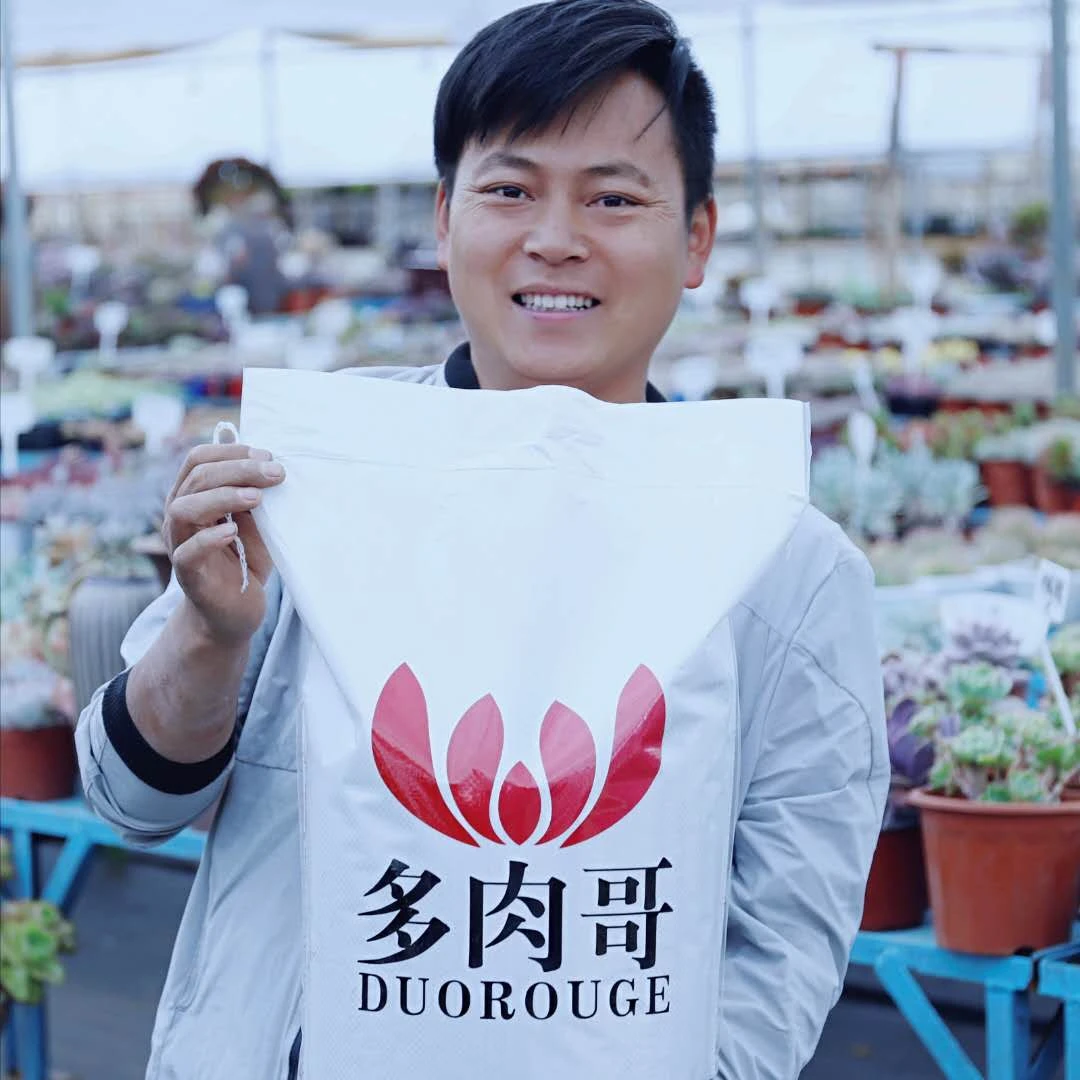 多肉哥家的多肉专用土小精品控色土颗粒土营养土