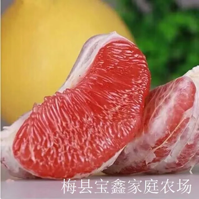 梅州寻好柚就寻山果树 富硒有机青皮红柚 4个装12斤 中秋送礼佳品