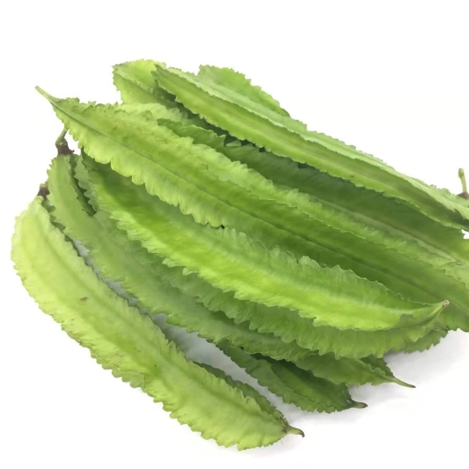 篱笆岛】海南新鲜蔬菜四角豆净重2斤/3斤装现摘现发顺丰空运