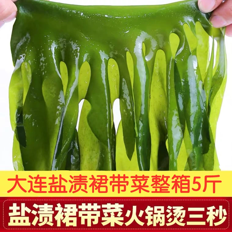 大连盐渍裙带菜凉拌煲汤火锅食材5斤/含箱