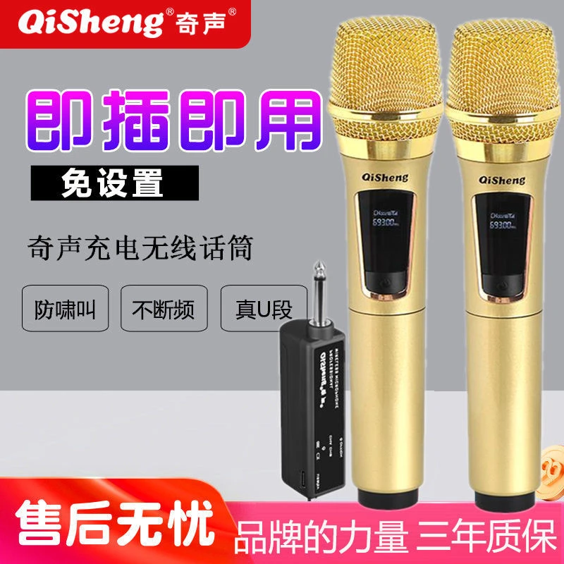 无线话筒一拖二U段调频舞台家用ktv麦克风唱歌户外音响卡拉ok