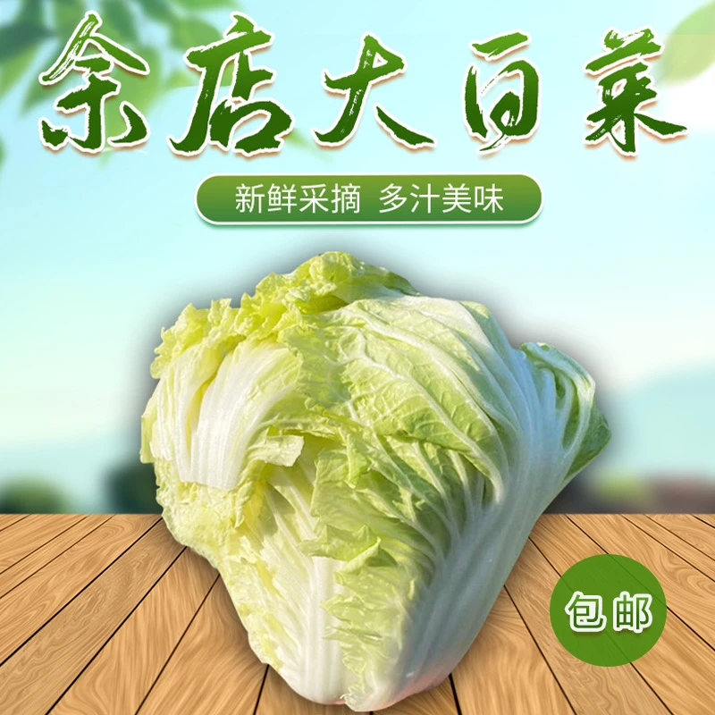 （艾姑娘）余店大白菜1颗包邮