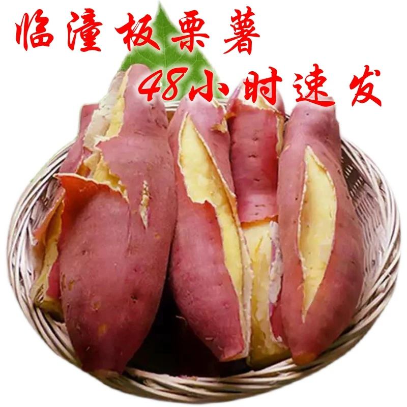 陕西临潼板栗薯5斤9斤包邮