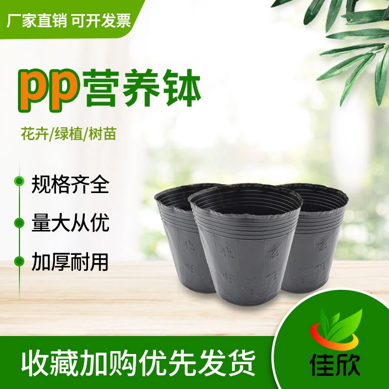 一次性塑料营养钵营养杯花盆育苗盆育苗袋育苗杯育苗盒营养袋加厚