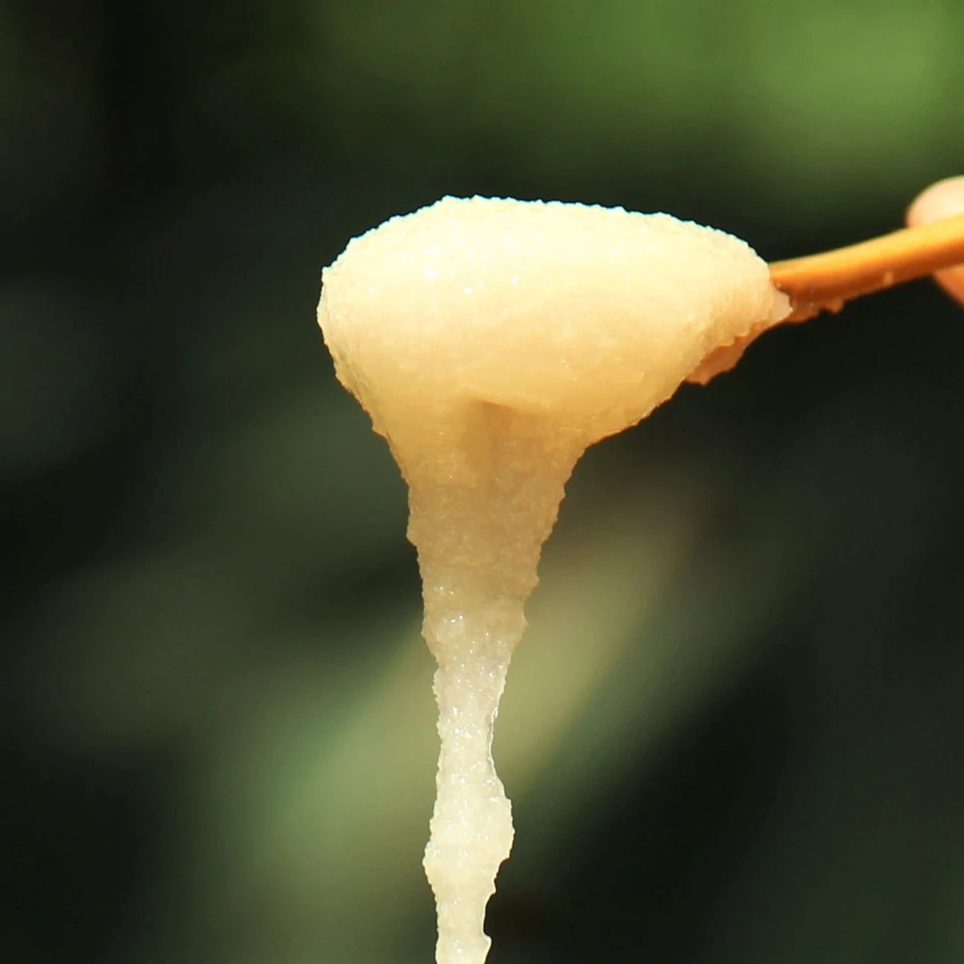 农家一年酿造自然成熟雪脂莲紫云英益母草枣花土蜂蜜500g拍一发二
