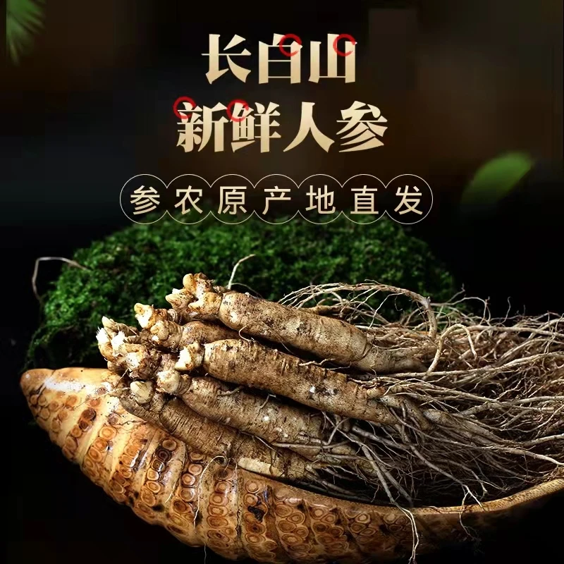 吉林长白山鲜人参规格10-15克/根