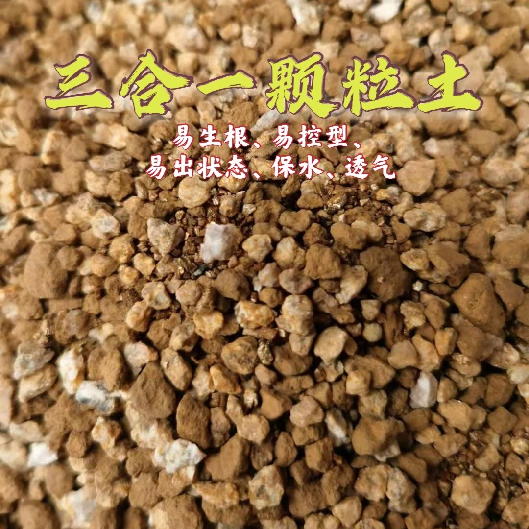 三合一多肉颗粒土多肉种植广告专用土壤