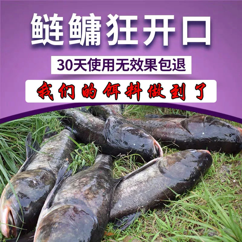 鲢鳙饵野钓水库花鲢白鲢胖头鱼饵料酸甜草莓配方浮钓鲢鳙饵料鱼料