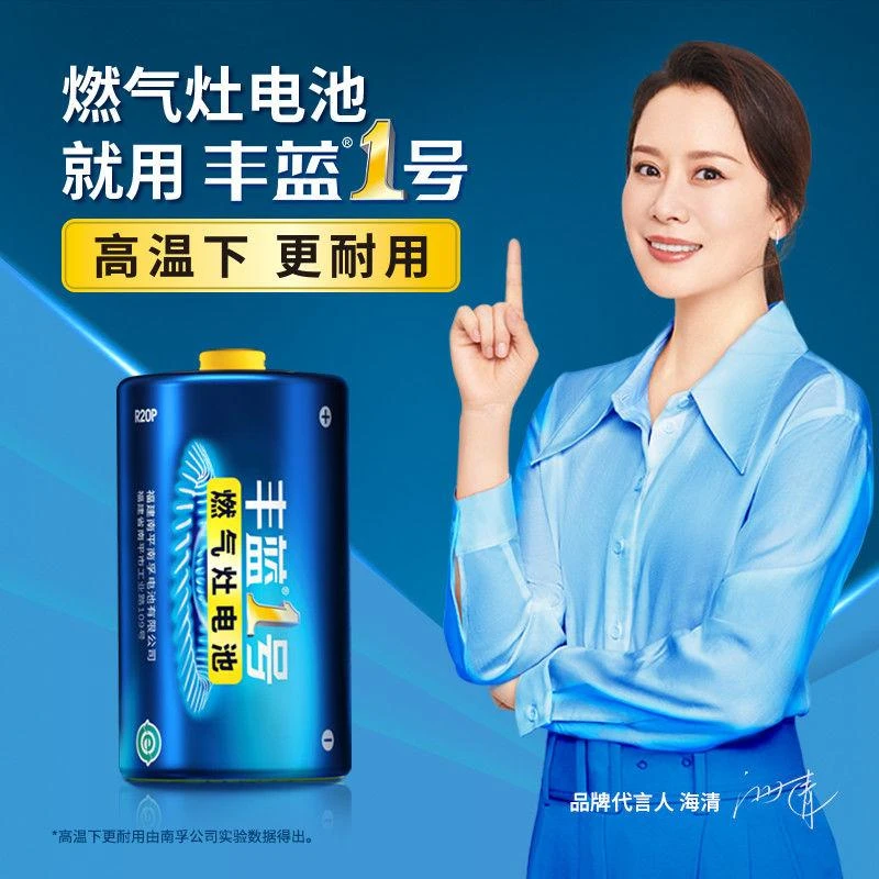 丰蓝1号电池碳性D型大号燃气灶电池一号热水器电池R20煤气灶