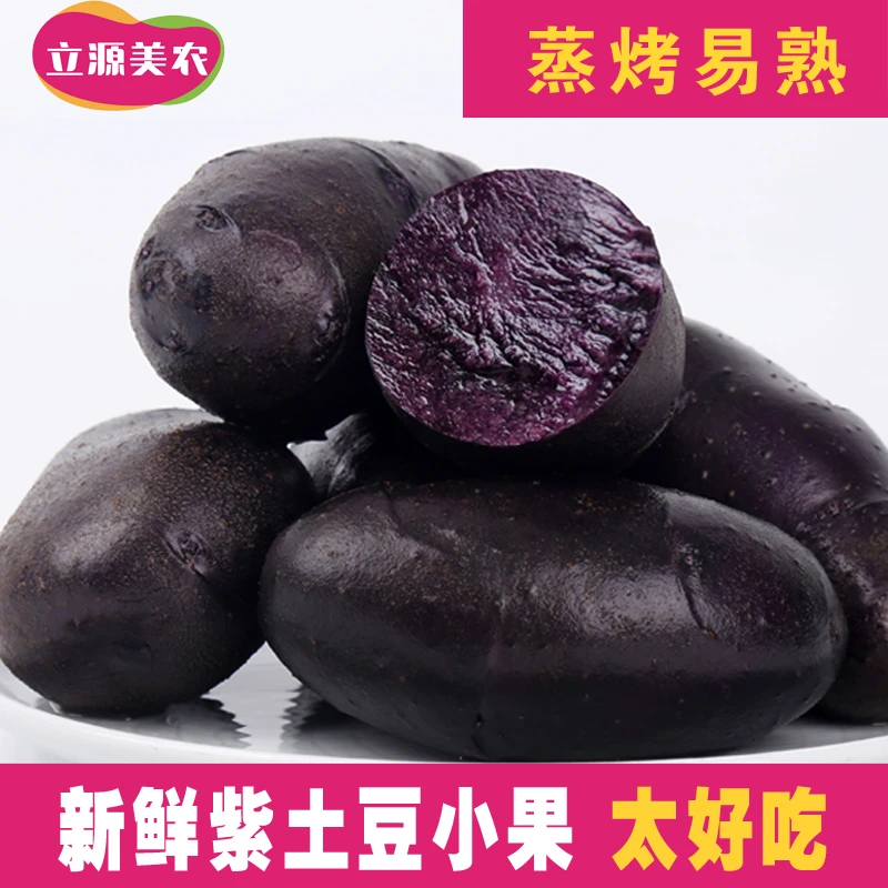 新鲜黑土豆小果迷你黑紫土豆花青素马铃薯乌洋芋5斤9斤