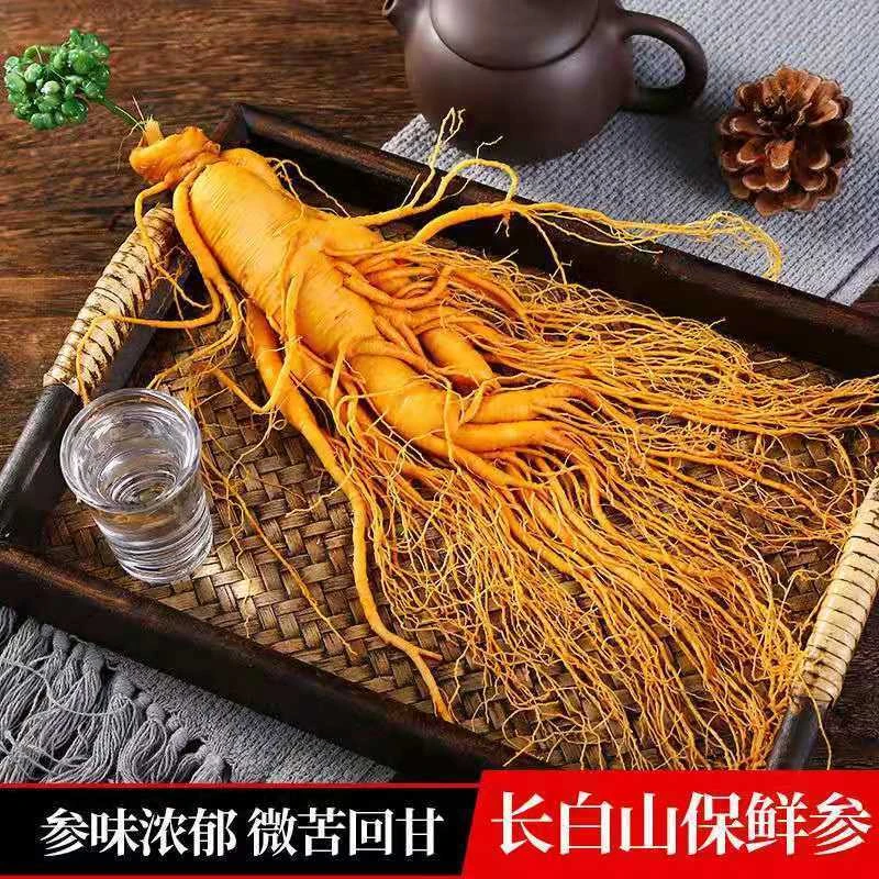 长白山营养特大保鲜参送礼毛重300克/一支泡酒专用人参产地直发