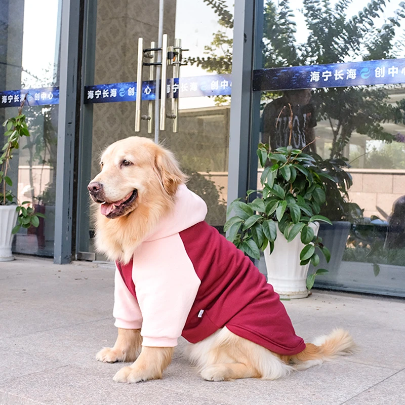 大狗狗衣服秋冬装拉布拉多金毛萨摩耶冬季防掉毛中型犬大型犬卫衣