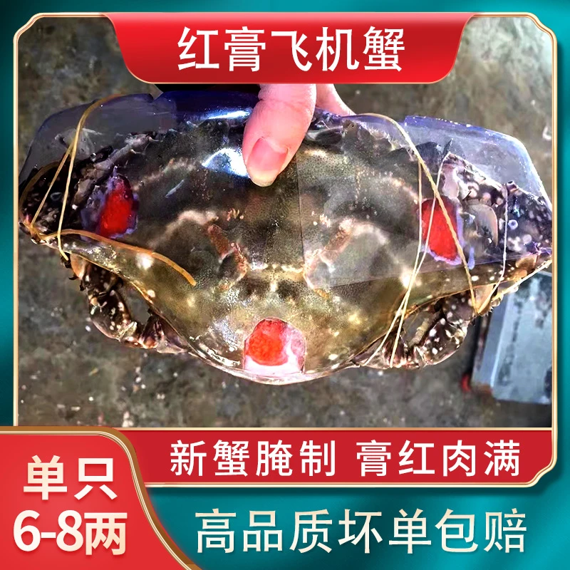 舟山红膏呛飞机蟹宁波特产生腌蟹咸蟹6-8两/1只/3只/6只/8只