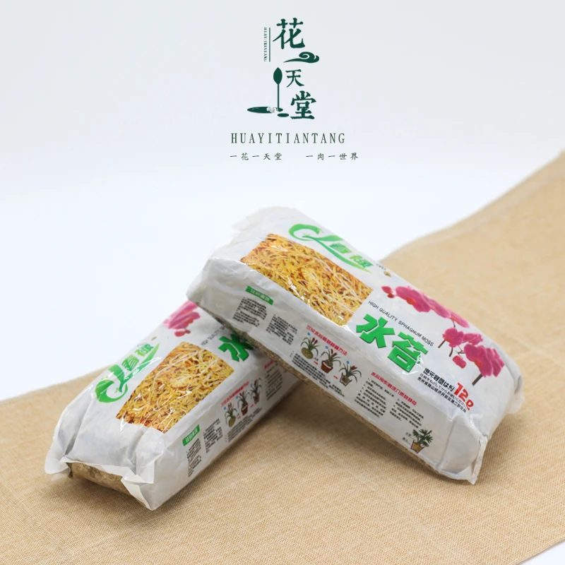 干水苔多肉植物蝴蝶兰智利进口养兰花专用土多肉食虫植物水苔无菌
