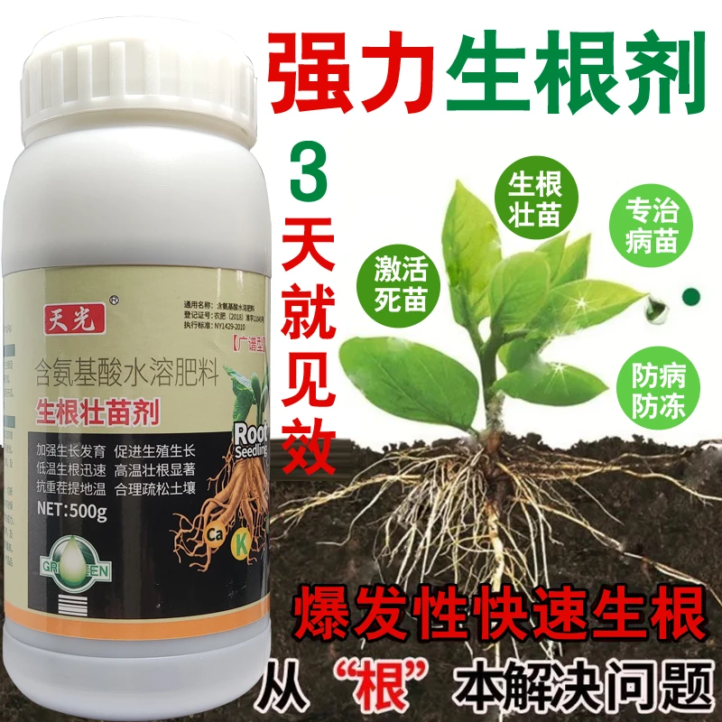 生根壮苗剂生根液生根液移栽扦插果树大蒜植物生根剂强力发根剂