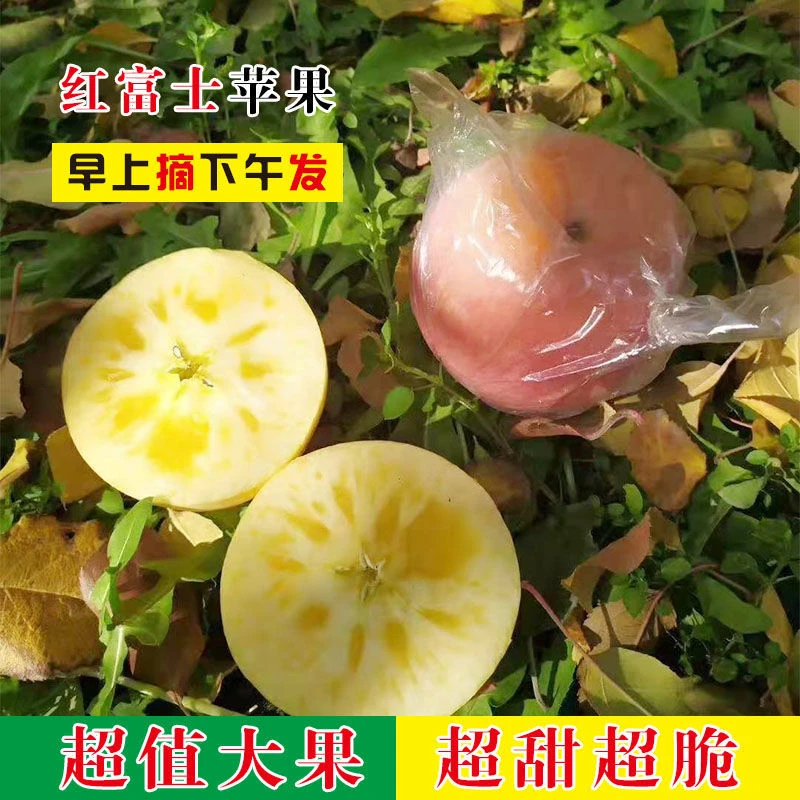 山西运城新鲜红富士精选80~85大果5斤装现摘现发