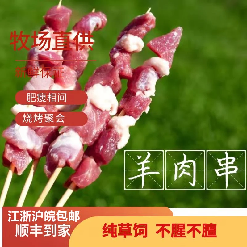 道场坪新鲜手工羊肉串 烧烤食材半成品无腌制 现杀手工羊肉串制