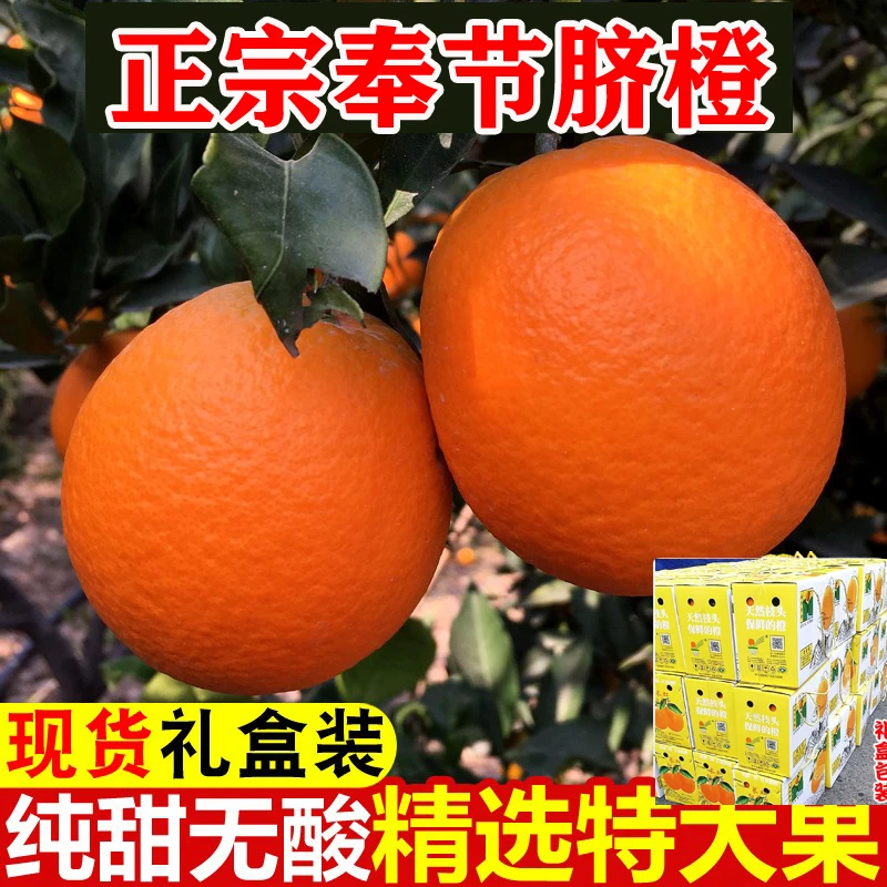 重庆奉节脐橙草堂橙子现摘现发5斤/9斤/18斤