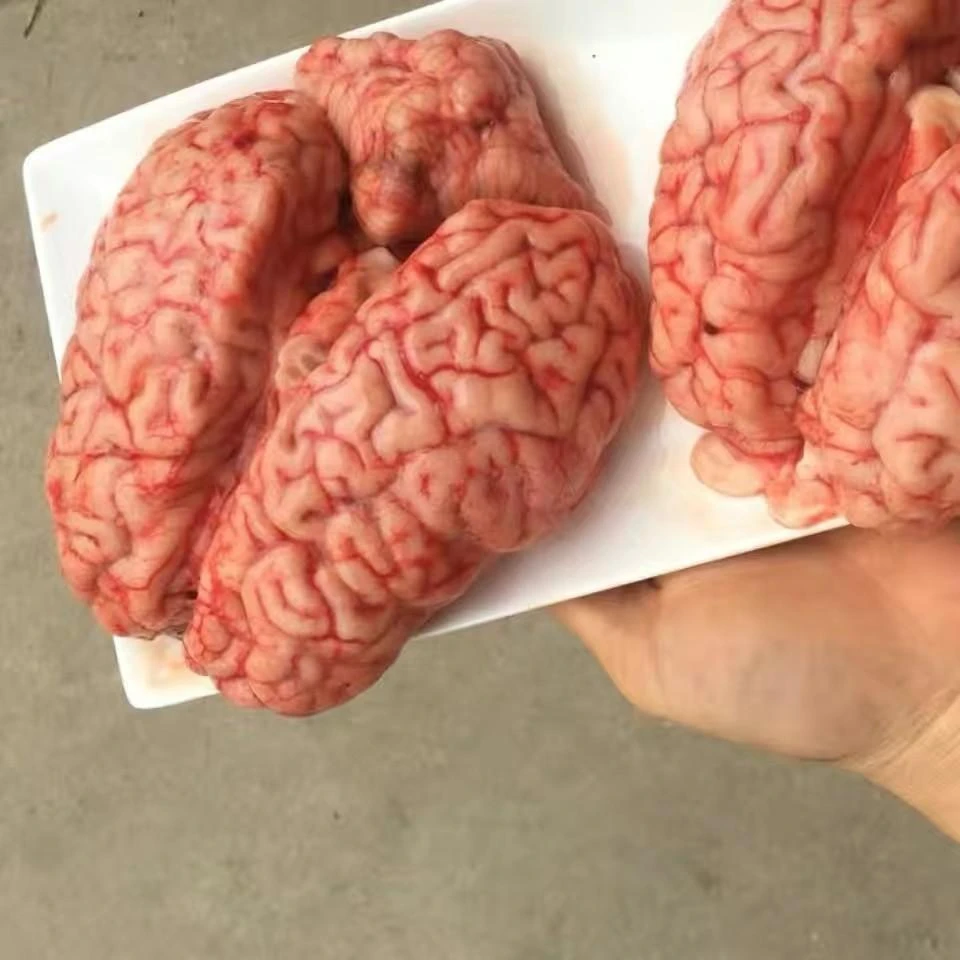 牛脑花新鲜现宰牛脑子真空包装冷冻发货牛脑涮火锅火锅店