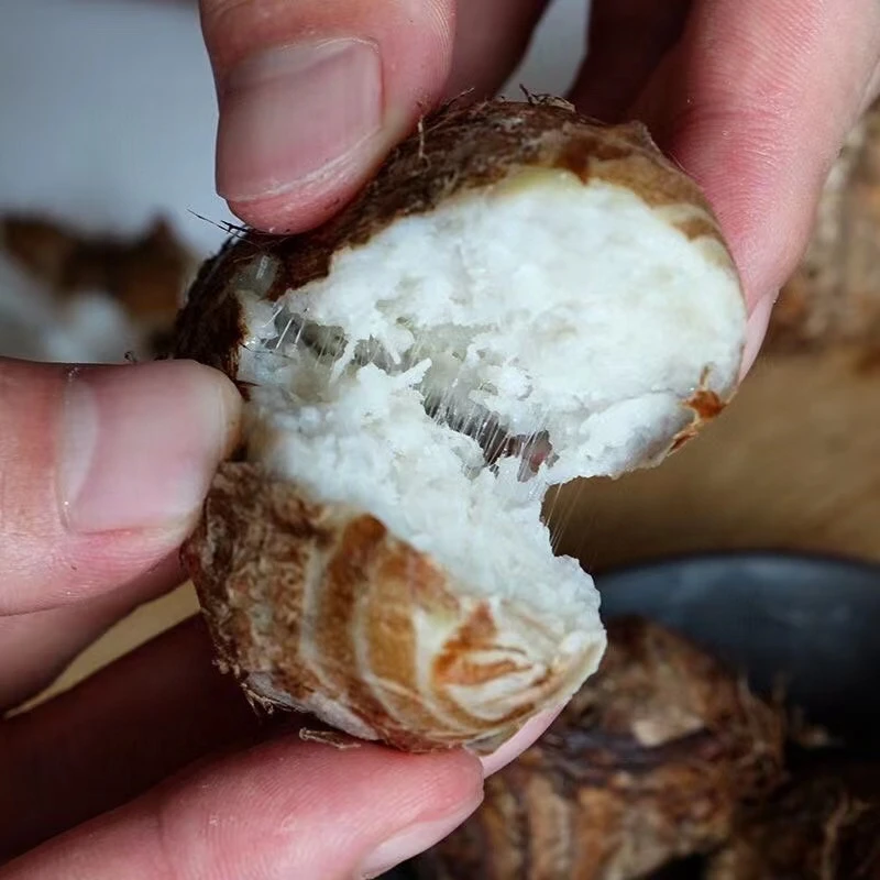 SLF【坏果包赔】山立方沂蒙山毛芋头好吃黏糯爽滑香新鲜农家小奶芋