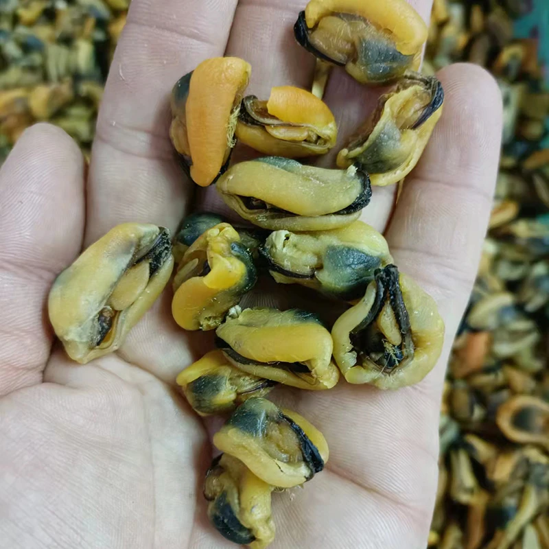 淡菜仔 青口肉干 煲汤煲粥 珠海特产 干货 250克/500克