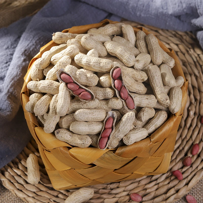 木乃壳 2024年新花生带壳花生笨炒花生250g