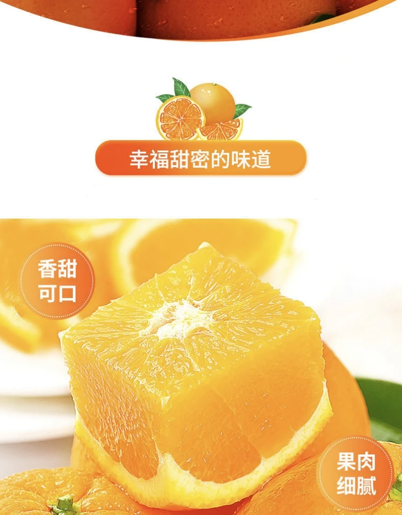 江西赣南脐橙5斤装10斤装