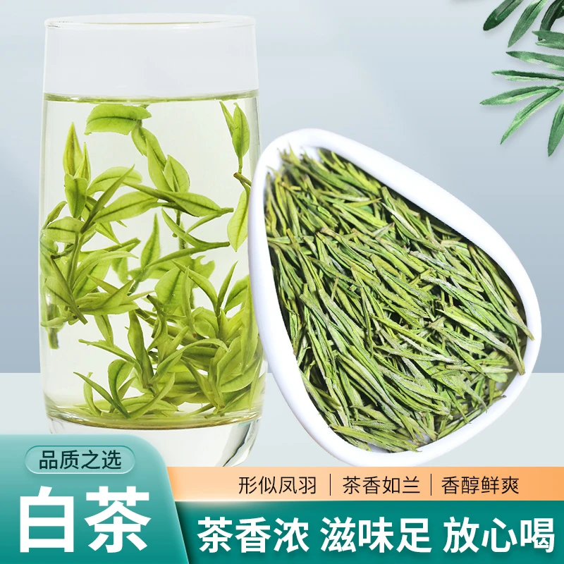 2025年新茶安吉茶白茶正宗原产地高山茶兰花香罐装鲜爽