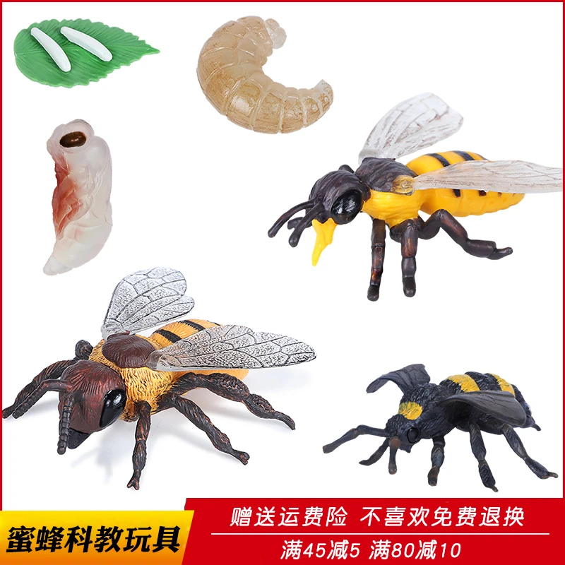 仿真昆虫蜜蜂玩具动物模型杀人蜂胡峰马蜂塑料儿童科教认知礼物