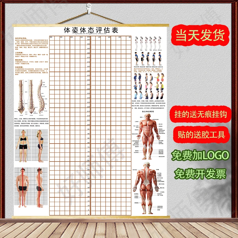 体态评估图健身房体测评估表瑜伽私教站姿形体脊椎修复身体评估图