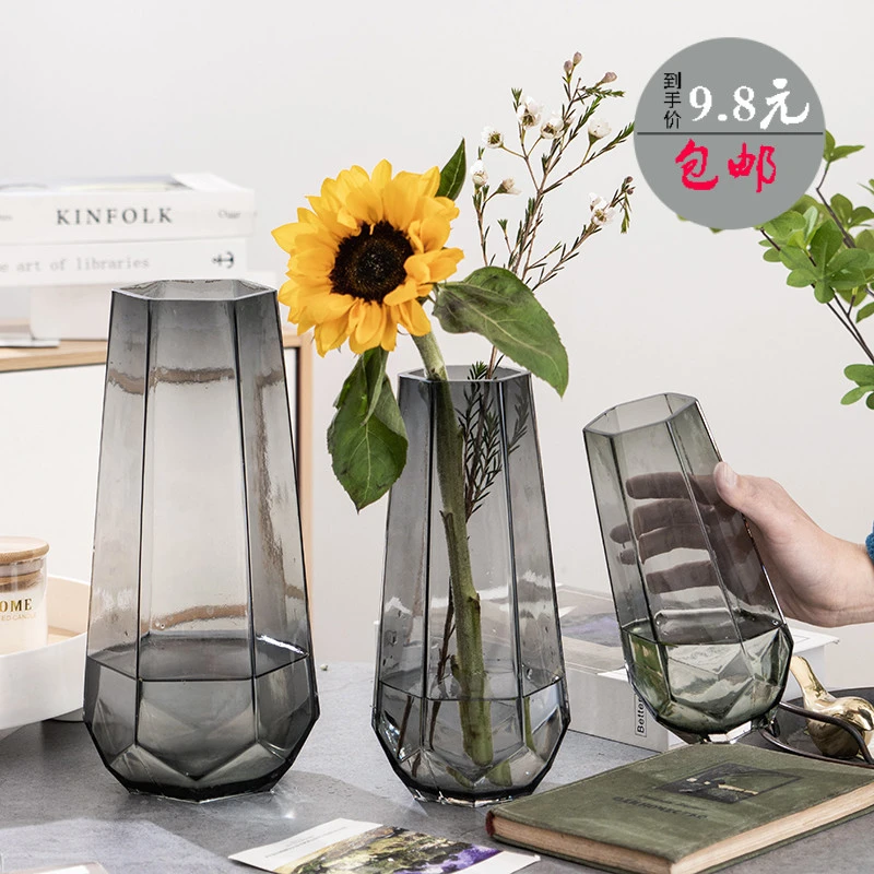 简约北欧网红玻璃花瓶创意水养玫瑰百合干花插花瓶客厅装饰摆件