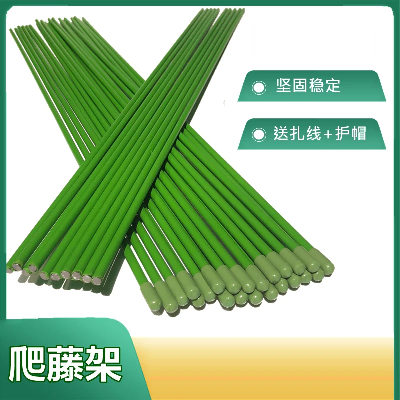 花卉绿植蔬菜瓜果固定支撑杆造型铁丝金钱树月季支架植物拱形DIY