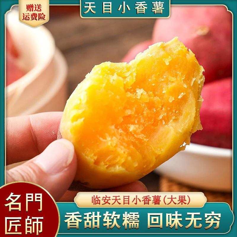 新果 临安天目小香薯5斤（大果）食用农产品新鲜香甜生态